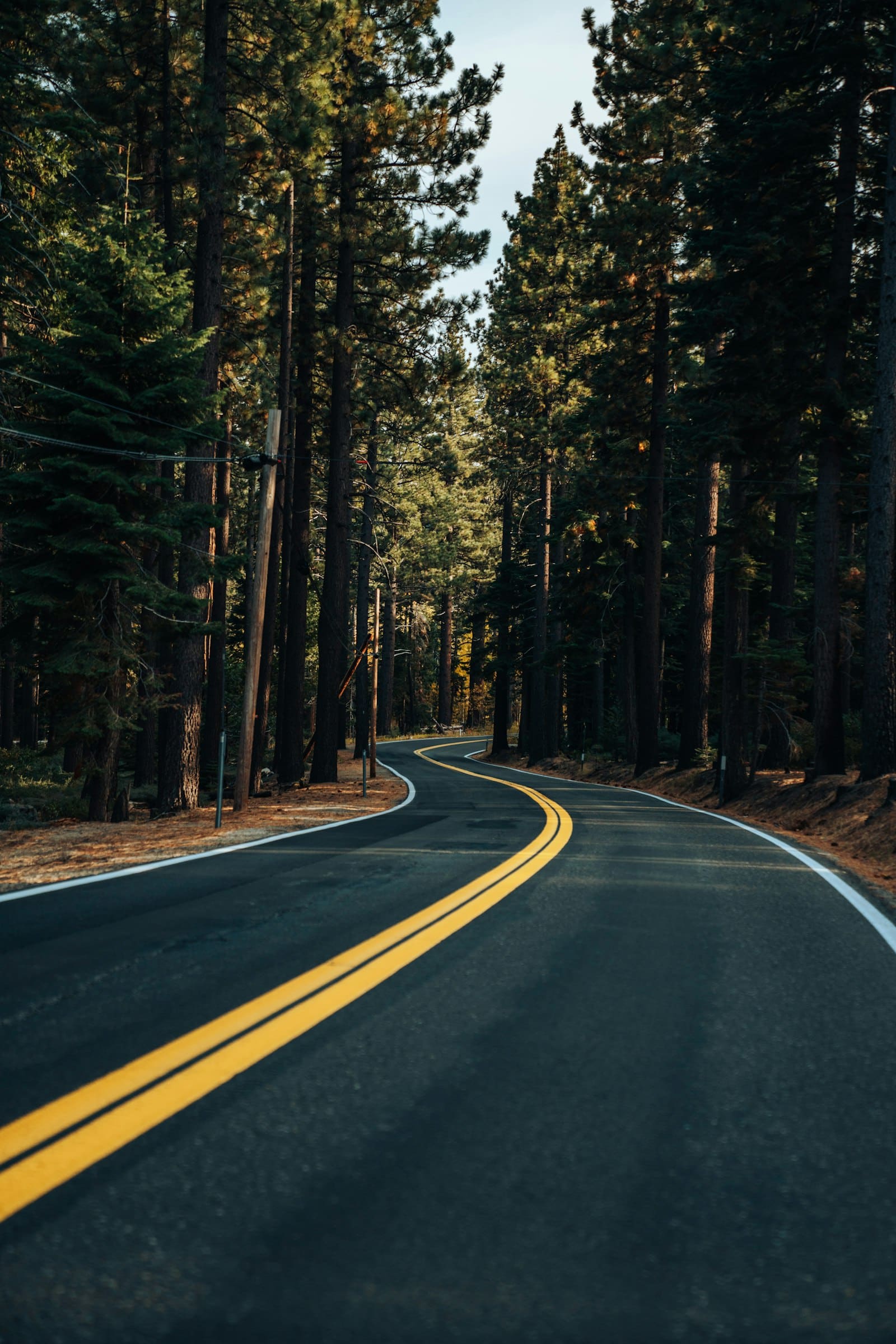 Forested road heading toward the Pocono Mountains, evoking the drive from NYC to A-Frame Cabin Poconos